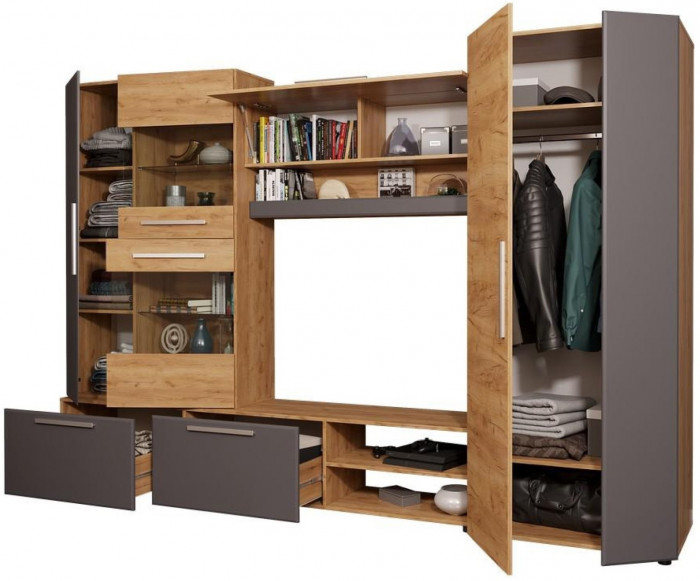 Гостиная Сафари (Дуб Крафт золотой / Графит Софт)